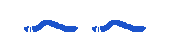 ミミズ